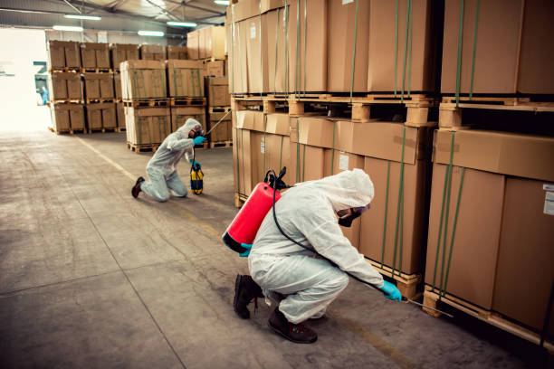 Best Pest Control Near Me  in Norris City, IL