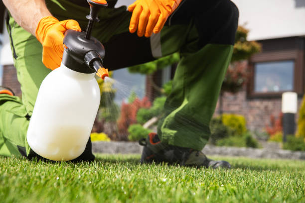 Reliable Norris City, IL Pest Control Solutions