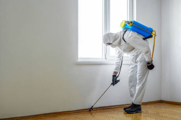 Best Emergency Pest Control  in Norris City, IL