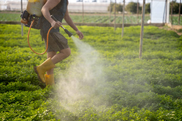 Best Exterminator Services  in Norris City, IL