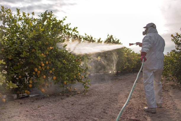Best Insect Control  in Norris City, IL