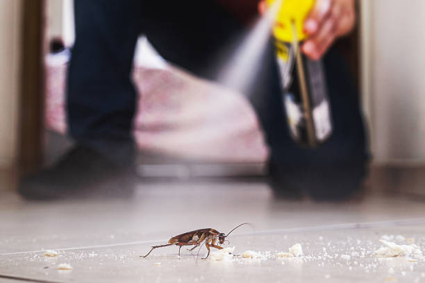 Best Wildlife Control Services  in Norris City, IL