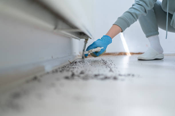 Best Pest Removal Services  in Norris City, IL