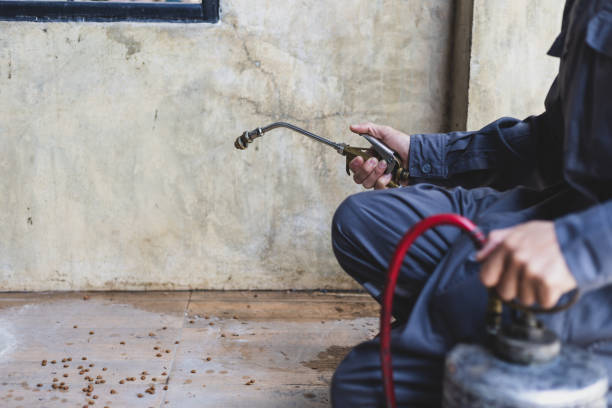 Professional Pest Control in Norris City, IL